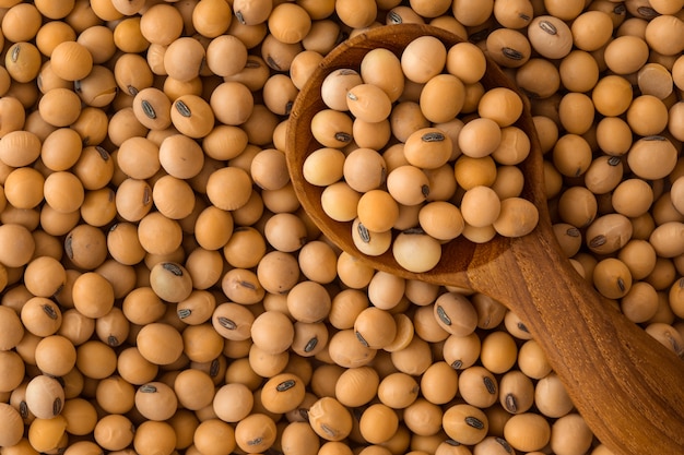 Close up a soybeans grain seed background