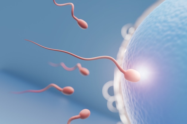 close up of sperm swimming towards the blue egg in a blue background. 3d illustration rendering.