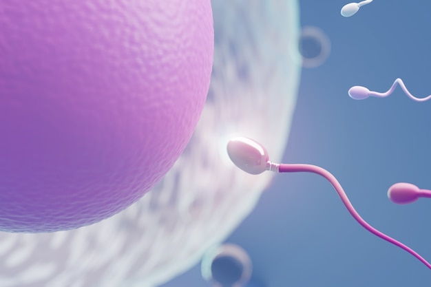 close up of sperm swimming towards the purple egg in a blue background. 3d illustration rendering.
