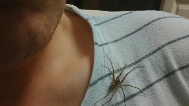 Photo close-up of spider on shoulder