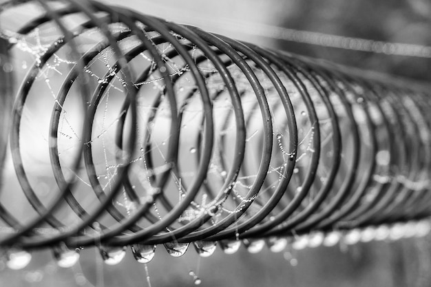 Foto close-up di ragnatele su una spirale bagnata