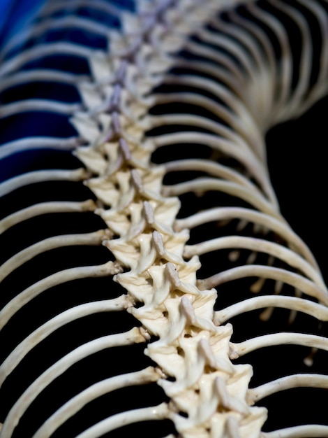 Photo close-up of spiral staircase