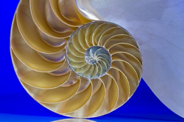 Close-up of spiral staircase