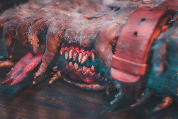 Photo close-up of spooky book on table