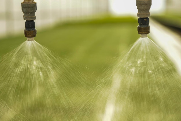 Foto prossimo piano dell'irrigatore sul campo