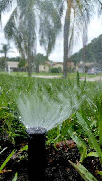 Foto close-up di sprinkler su un campo erboso