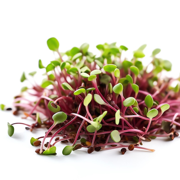 A close up of sprouts