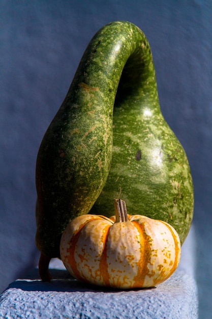 Foto close-up di zucca e zucca su tavola