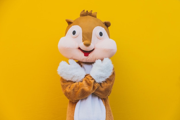 Close-up of squirrel gesturing against yellow background