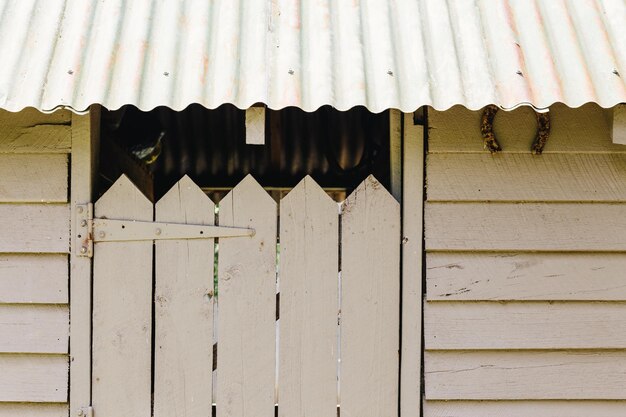 Photo close-up of stable