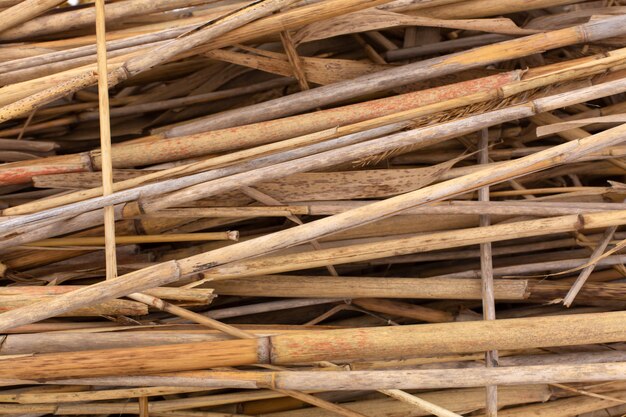 Close-up of a stack of dry reed stalks