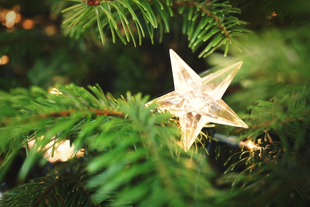 Foto close-up della decorazione a forma di stella dell'albero di natale