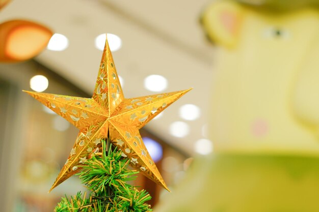 Close-up of star shaped decoration on christmas tree