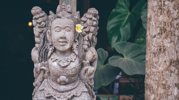 Photo close-up of statue against plant