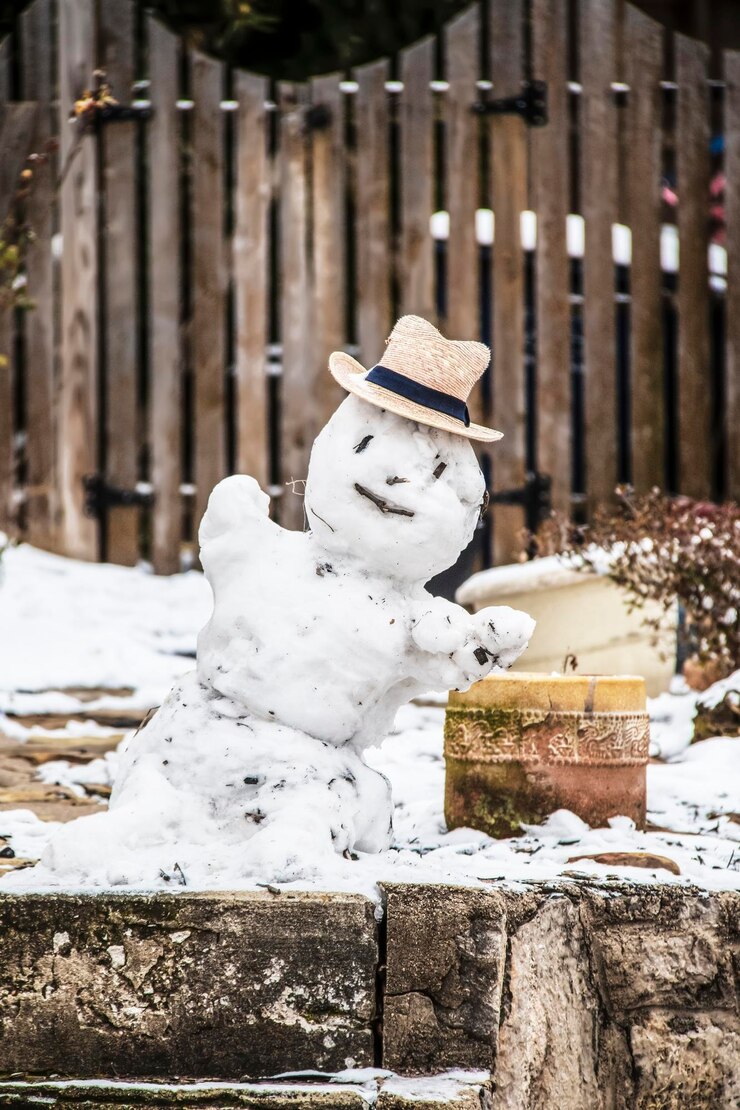 Photo close-up of statue against snow during winter