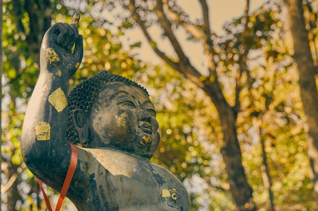 Foto close-up della statua contro gli alberi