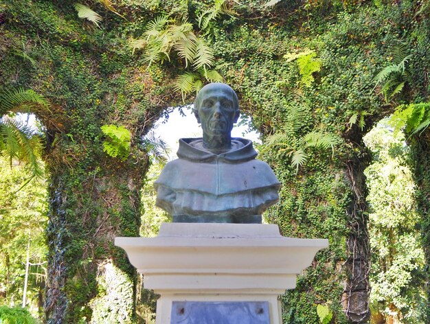 Close-up of statue against trees