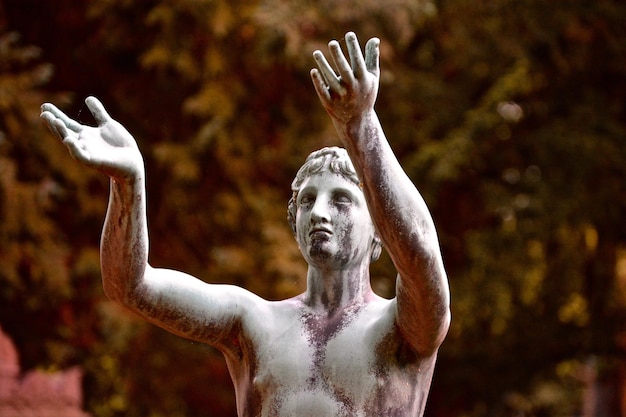 Photo close-up of statue outdoors