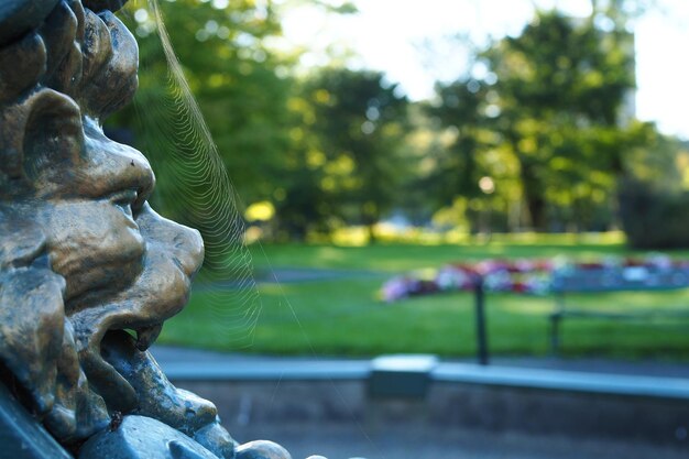 Close-up of statue in park