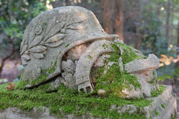 Close-up of statue