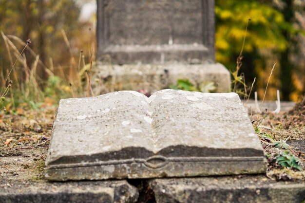 Foto close-up di un libro di pietra nel cimitero