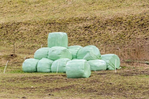 Photo close-up of stone on field