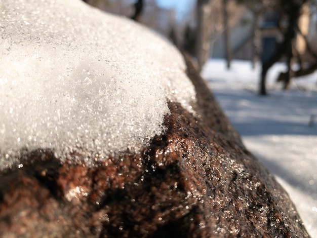 雪の中で石のクローズアップ