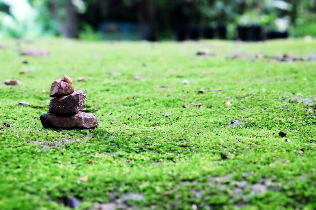 Close-up of stone stack on field