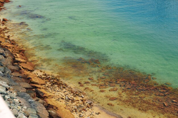 Крупный план камней и чистой воды на берегу пляжа