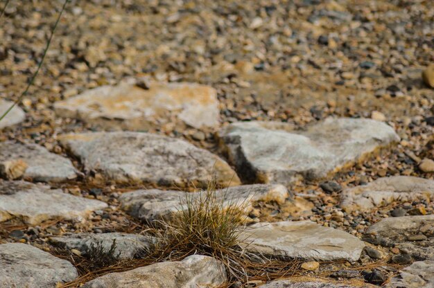 Foto prossimo piano delle pietre sulla terraferma