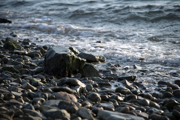 Close-up of stones at shore by sea