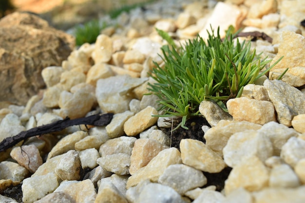 Photo close-up of stones