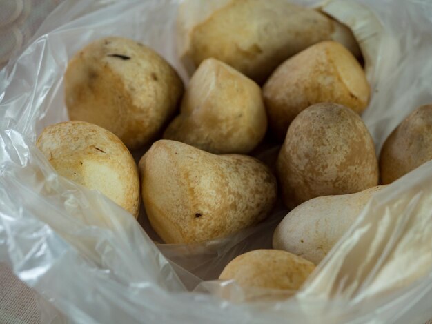 Photo close-up of straw mushroom