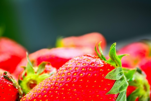 Close up of strawberries on a dark background