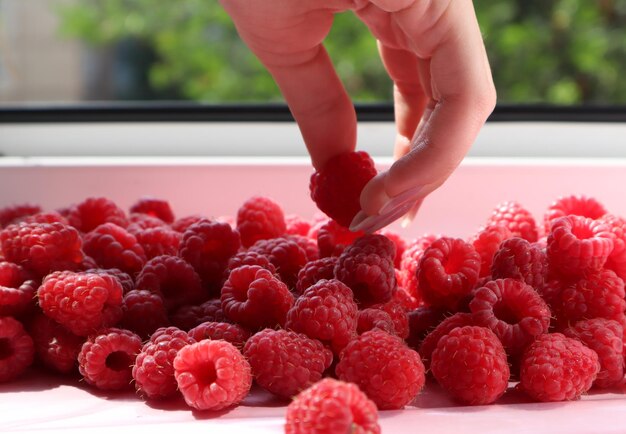 Close-up of strawberries