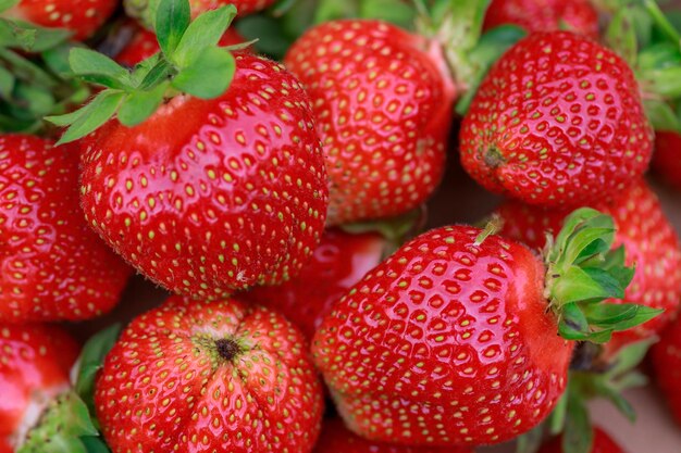 Close-up of strawberries