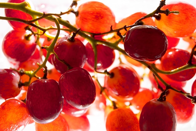 close-up of strawberries
