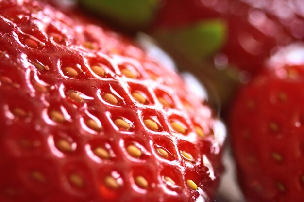 Foto prossimo piano della fragola