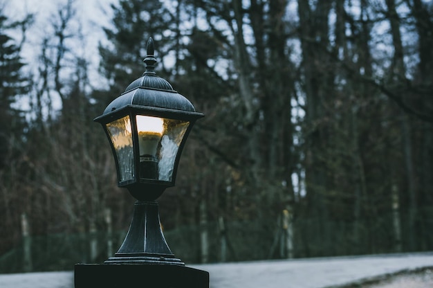 Foto close-up di luci di strada contro gli alberi