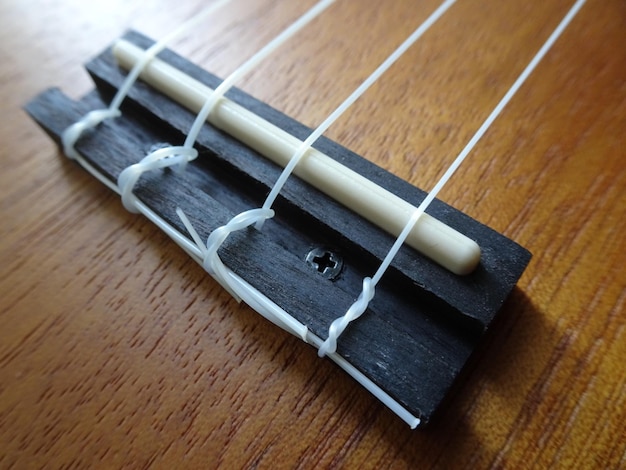 Foto prossimo piano delle corde sull'ukulele