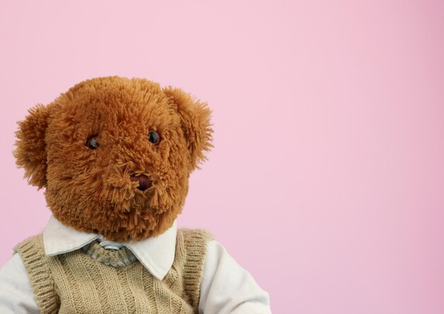 Photo close-up of stuffed toy against pink background