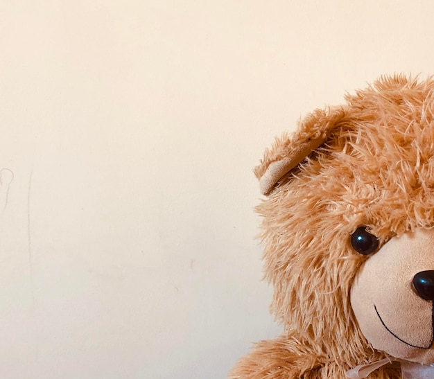 close-up of stuffed toy against white background