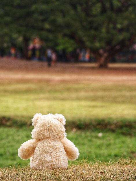 Foto close-up di un giocattolo di peluche sul campo