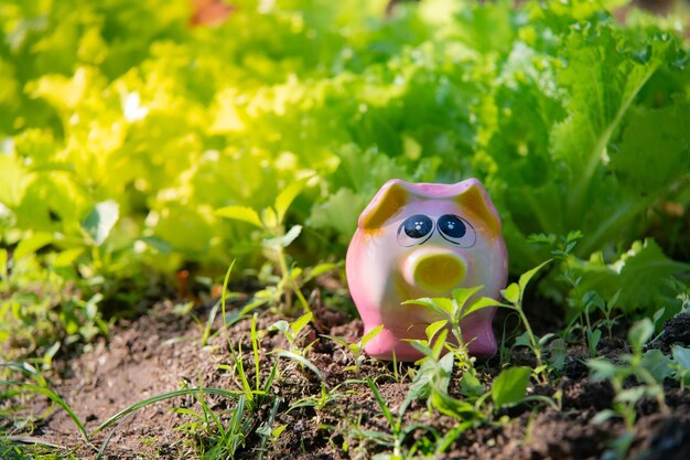 Close-up of stuffed toy on field