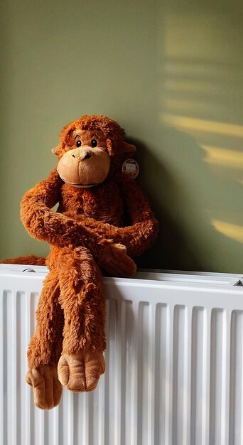 Photo close-up of stuffed toy at home