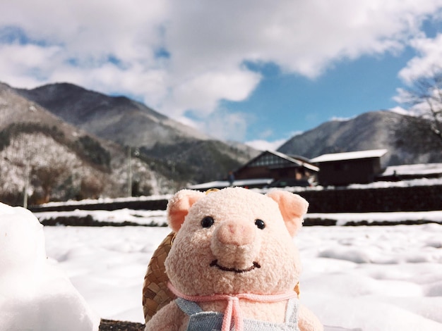 Photo close-up of stuffed toy on snow covered field