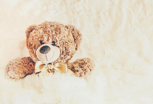 Close-up of stuffed toy on snow