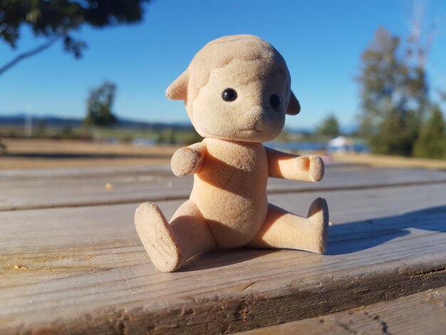 Photo close-up of stuffed toy on tree against sky