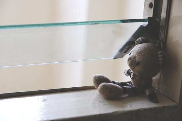 Photo close-up of stuffed toy on window at home