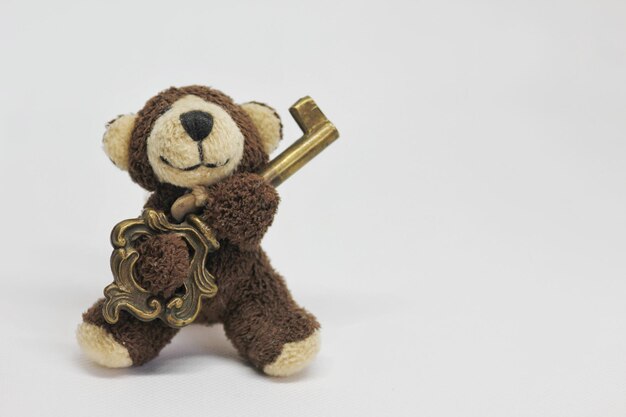 Photo close up of stuffed toy with key against white background